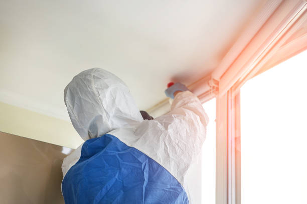 Best Forensic Mold Investigation in Fairborn, OH