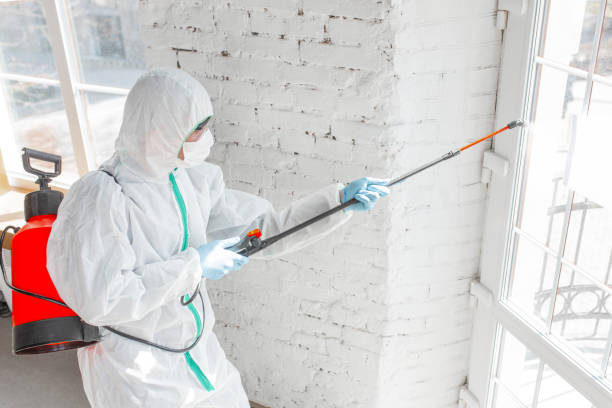 Best Residential Mold Inspection & Testing in Fairborn, OH