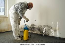 Best Basement Mold Removal in Fairborn, OH